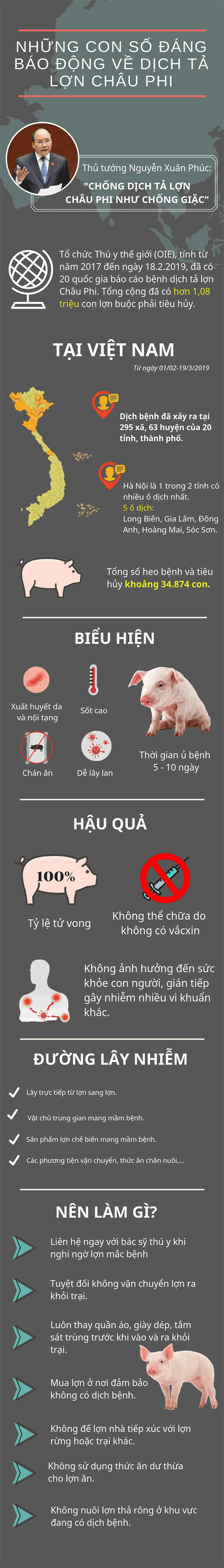 những con số đáng lo ngại về dịch tả lợn châu phi
