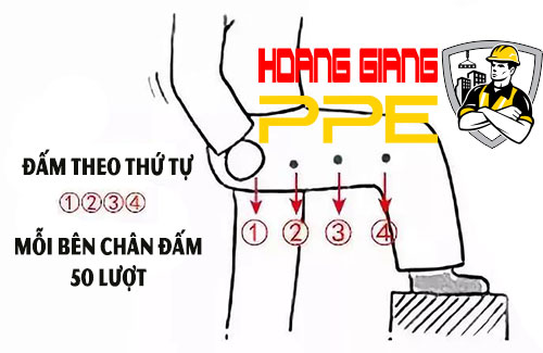 giải độc Mật