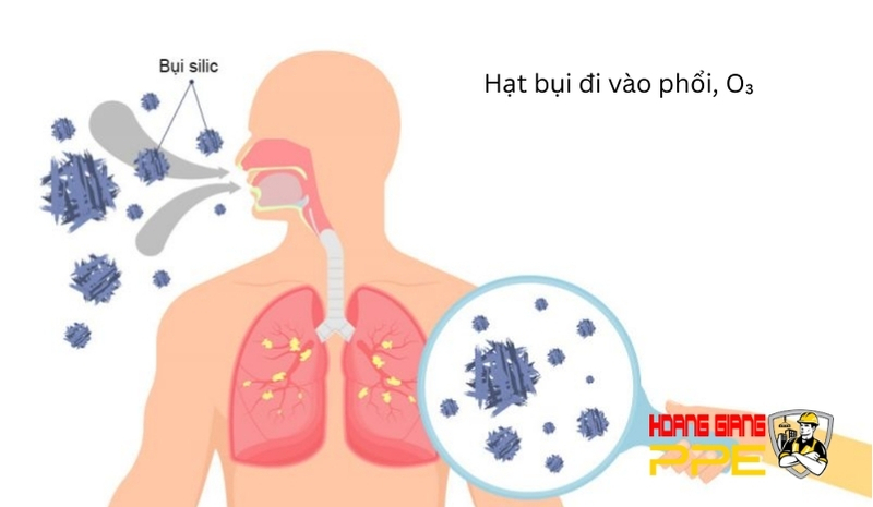 tác động ô nhiễm không khí